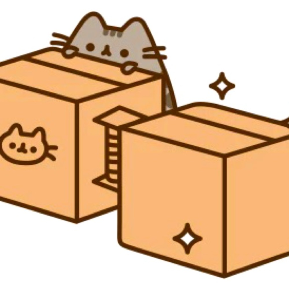 MYSTERY BOX- 3